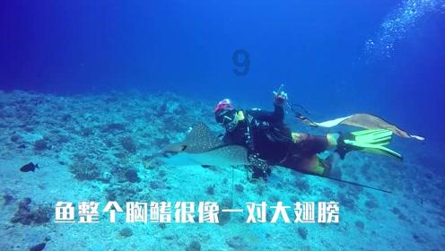 好人和坏人有什么区别?